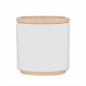 Blume Ceramic Planter (22 oz)